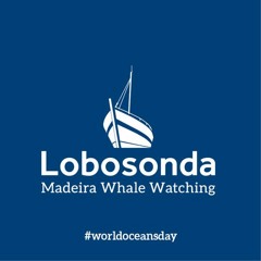 Lobosonda