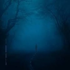 vehement_
