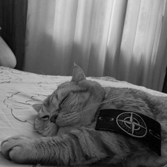 Fearlessϟ