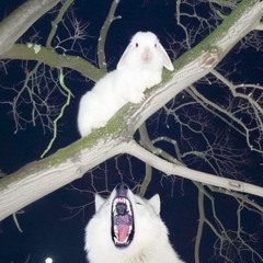 GhosttownBunnyxo<333