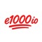 e1000io