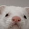 AwayBee644