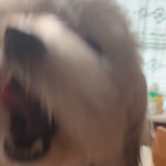 reiju02276565