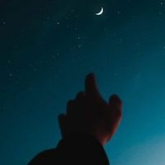 مصطفى الديشة