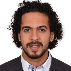 Mohamed Elȝokaby