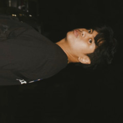 thevincii