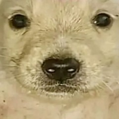 ..+>..=.=.=