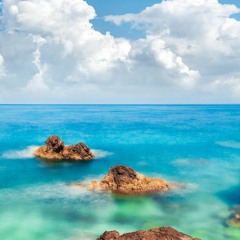 حب النبى