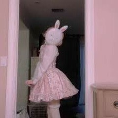 🧸🧺🎀🌸