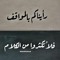 احمد العيسوى