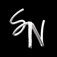 Sven Noon