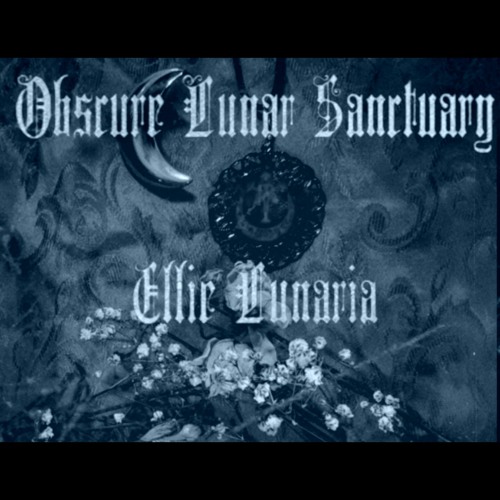 Obscure Lunar Sanctuaryâ€™s avatar
