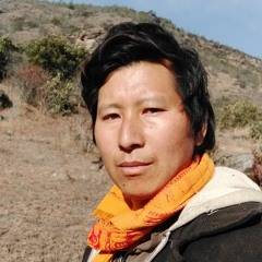 tashi chhephel