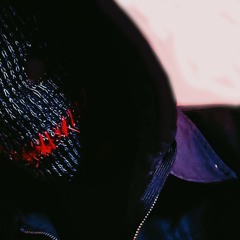 Soulless - prod. Veinrot