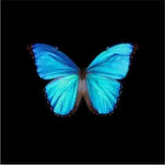 Mix01 REC - 2023 - 02 - 28 House par Histime