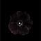 Meead