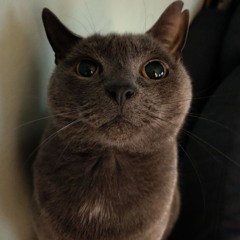 maja