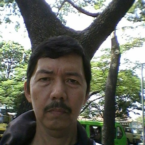 Erfin Syafrizal - Bogor  - Indonesia’s avatar