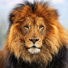 Jean-Leo