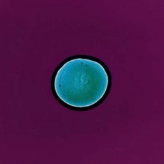 THE MUSIC THAT YOU ARE ABOUT TO HEAR IS ABOVE YOU