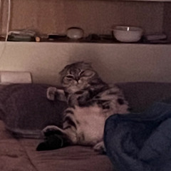 KJY
