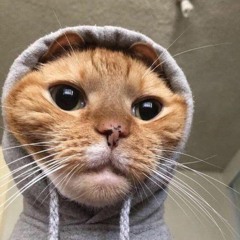 blink 182 is AWESOME