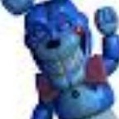 Chad bon