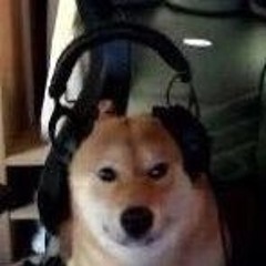 Boi25