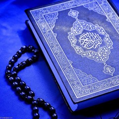 ZAIN ZAREER
