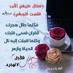 رحماء بينهم