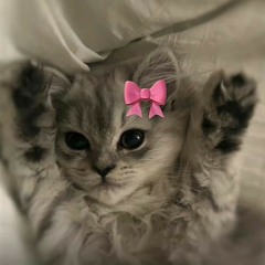 shiiny.love