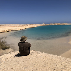 Alaa Badr