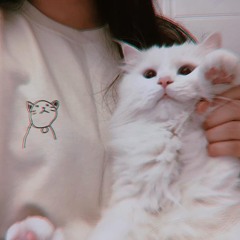 |命| - 날۰ᴛᴜɢᴄᴇ ރ