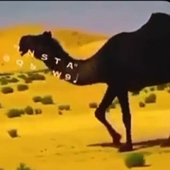 جديد شيلة _ لا نهيت القلب _ كلمات _ مبارك ال خليفه __ أداء _ مسفر السندوانه.mp3