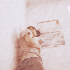 PROVOKE444プロヴォーク