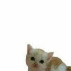 sevich
