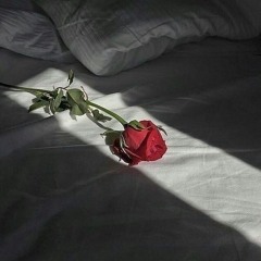 solace eve