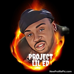 Project Lil ED