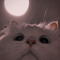 cate
