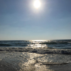 اسم على الورق هاني شاكر