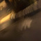 lt_c