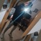 Romeraa19