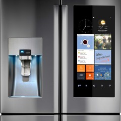 Young Samsung Fridge Water Filter