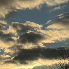 assistant apprentice to an apprentice