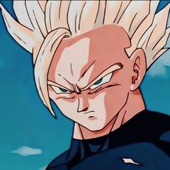 Gohan’sIdol