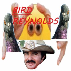 Bird Reynolds