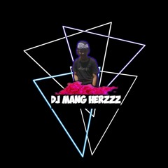 DJ Mang Herz Fly The Sky