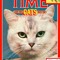TimeCatsNFT