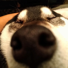も
