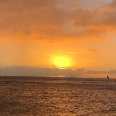 sandy808